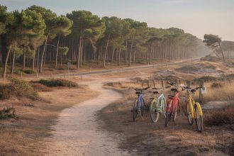 Vélos en location à Lège-Cap-Ferret pour explorer la région